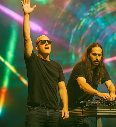 Infected Mushroom