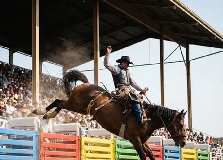 Pendleton Round Up