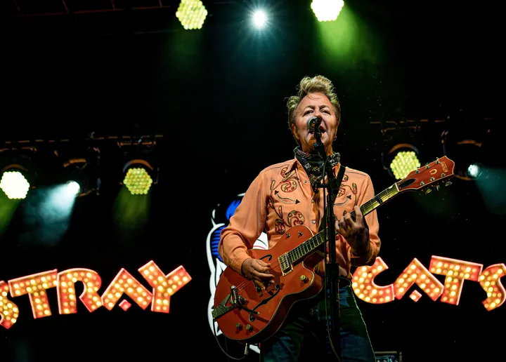 Stray Cats