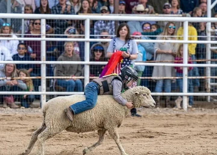 Cave Creek Rodeo