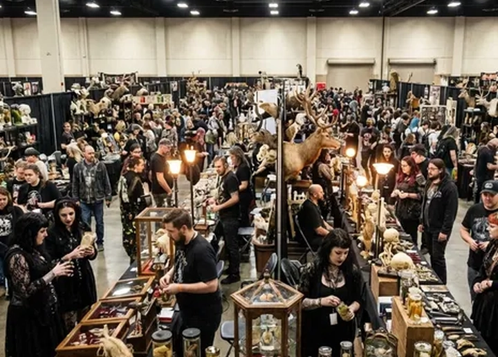 Oddities and Curiosities Expo
