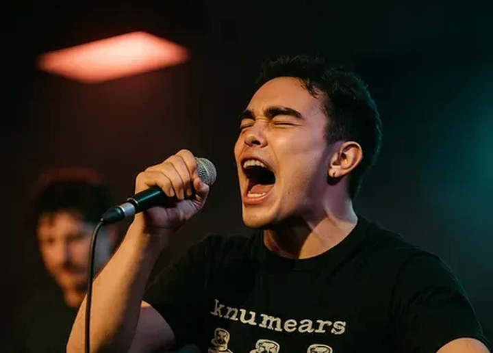 BurnDown Tour: Knumears, Catalyst & Arranged In April