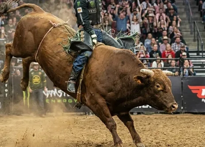 PBR Bull Riding