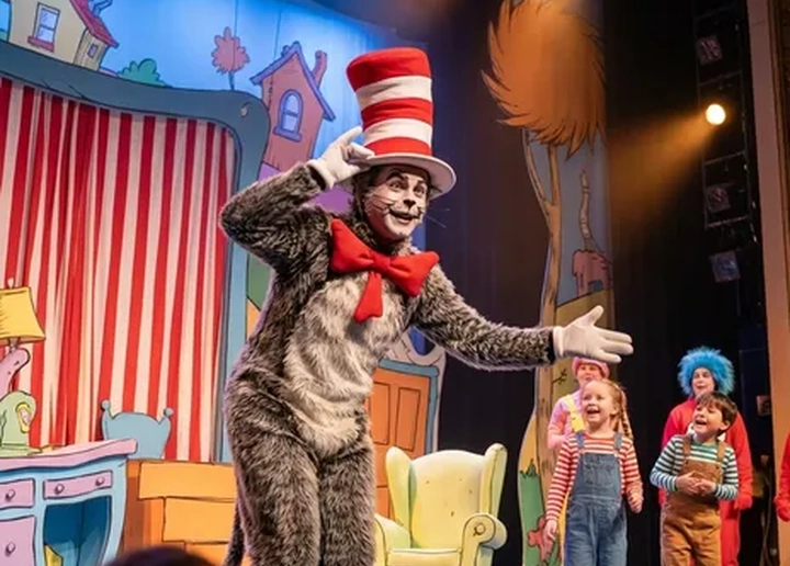 Dr. Seuss's The Cat In The Hat