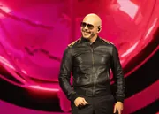 Pitbull