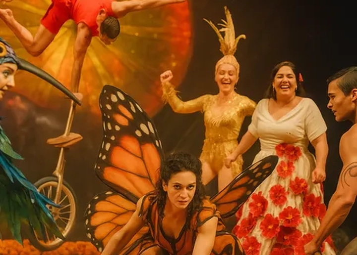 Cirque du Soleil - Luzia